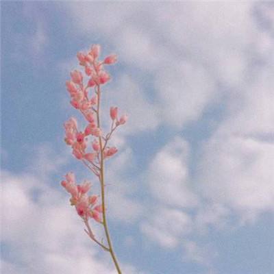 澳门·新葡萄新京威尼斯