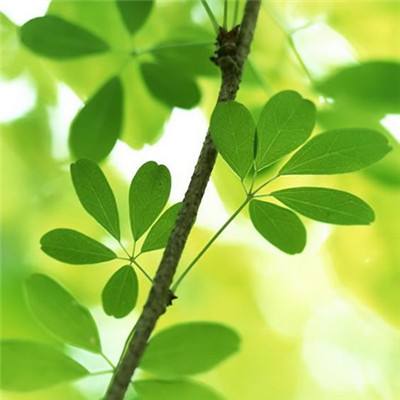 大小单双赚钱平台